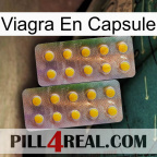 Viagra Capsule new10
